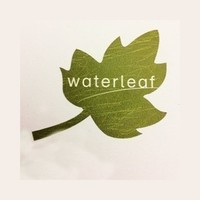 Waterleaf Architecture