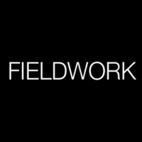 Fieldwork Design & Architecture